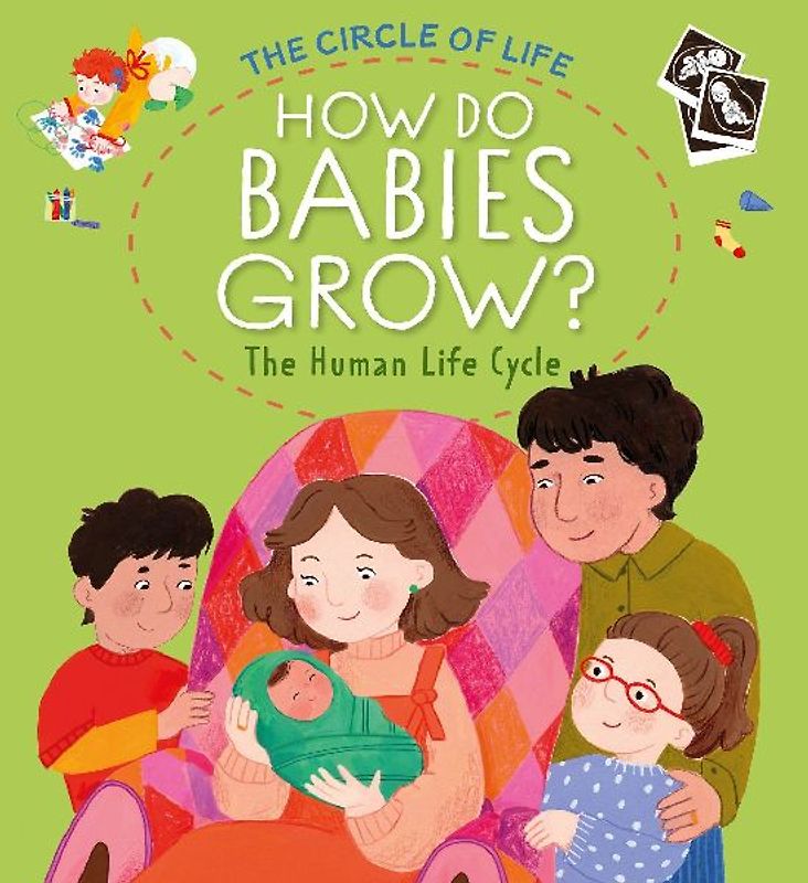 How Do Babies Grow? The Human Life Cycle