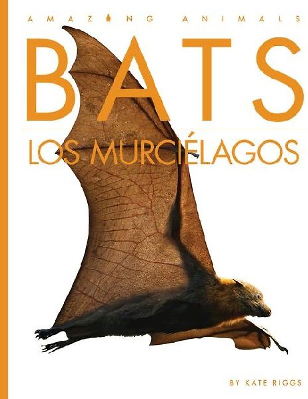 Bats / Los Murciélagos