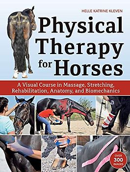 Physical Therapy for Horses