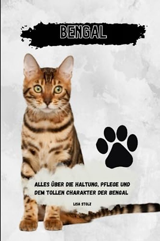 Bengal: alles über Haltung, Pflege und den tollen Charakter der Bengal Katze