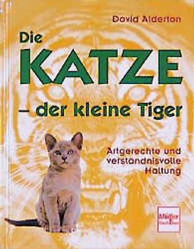 Die Katze - der kleine Tiger