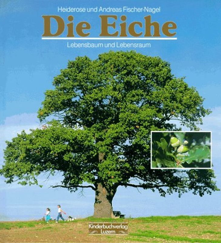 Die Eiche. Lebensbaum und Lebensraum