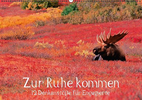 Zur Ruhe kommen (PosterbuchDIN A4 quer)