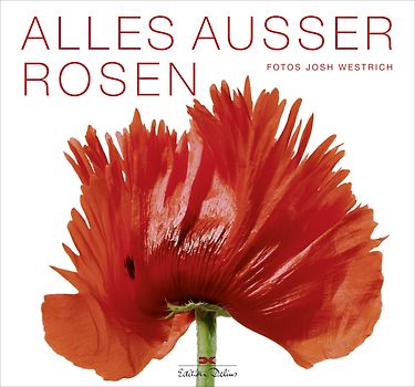 Alles außer Rosen