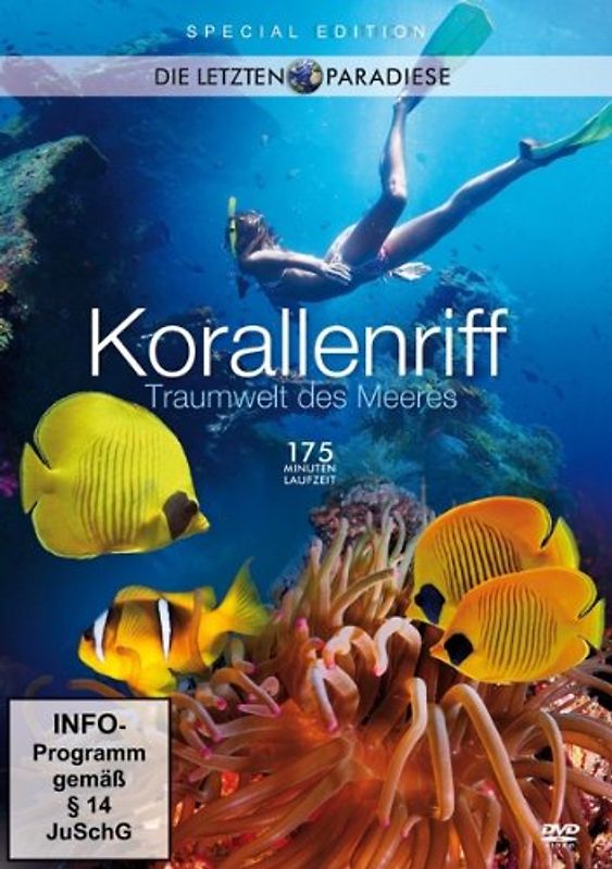 Korallenriff - Traumwelt des Meeres DVD