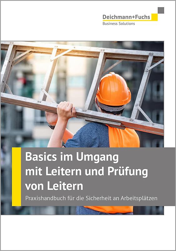 Basics im Umgang mit Leitern und Prüfung von Leitern