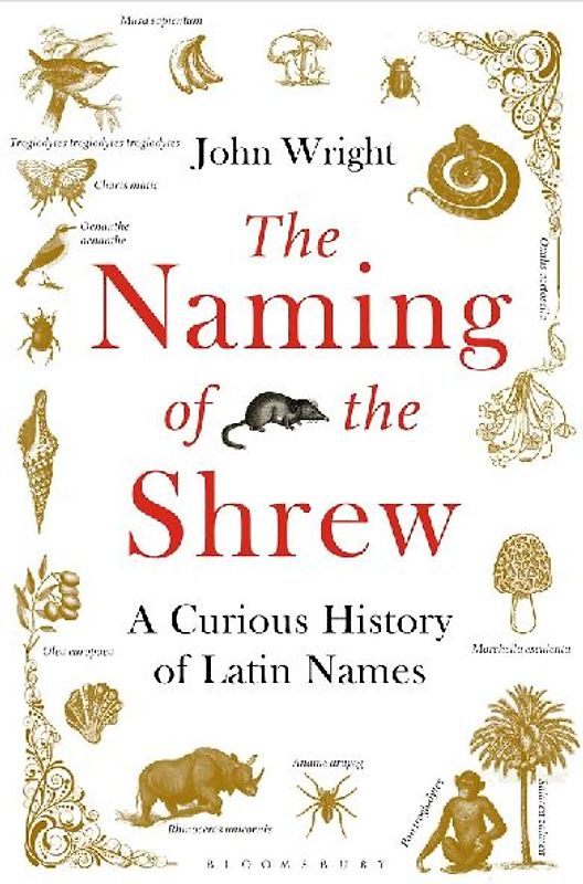 The Naming of the Shrew