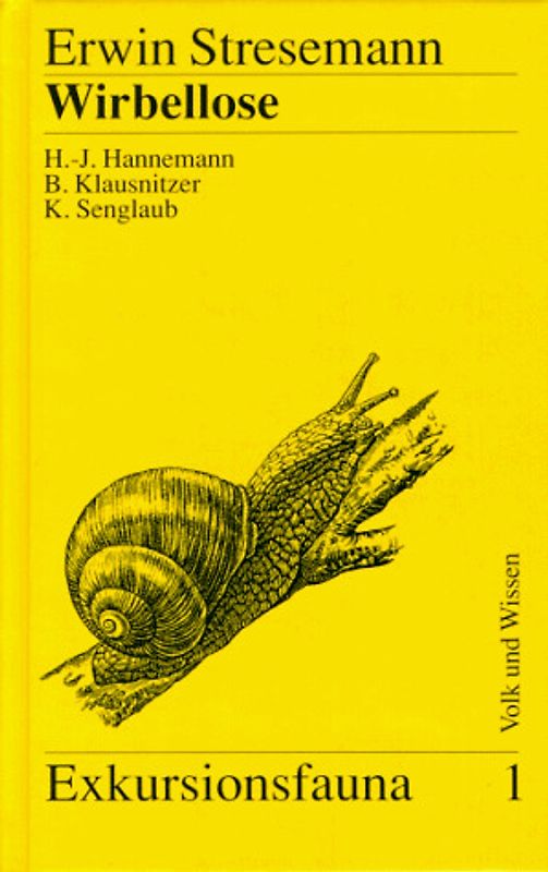 Wirbellose (ohne Insekten)