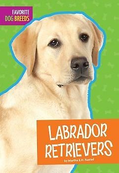 Labrador Retrievers