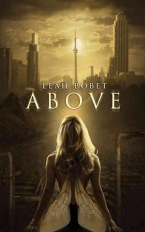 Above - Leah Bobet