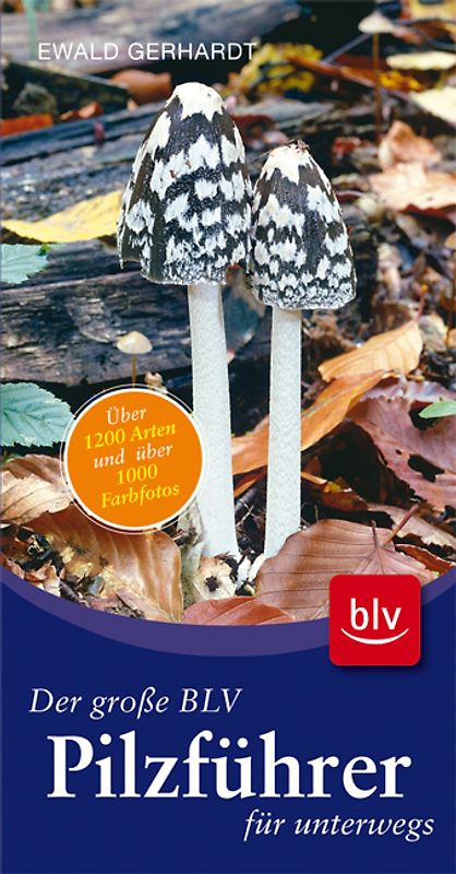 Der große BLV Pilzführer für unterwegs