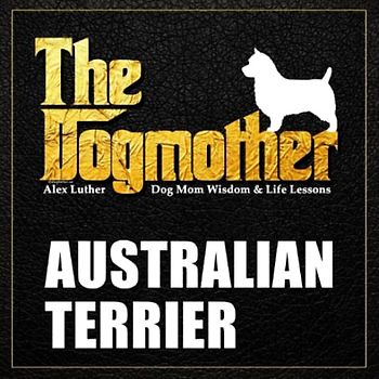 The Dogmother: Australian Terrier: (Dog Mom Wisdom & Life Lessons)