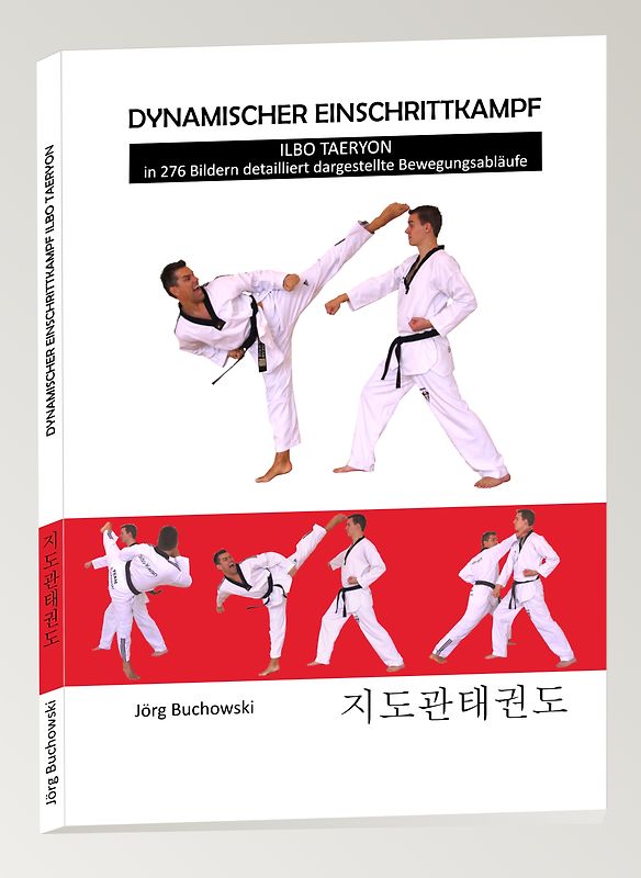 Dynamischer Einschrittkampf Ilbo Taeryon