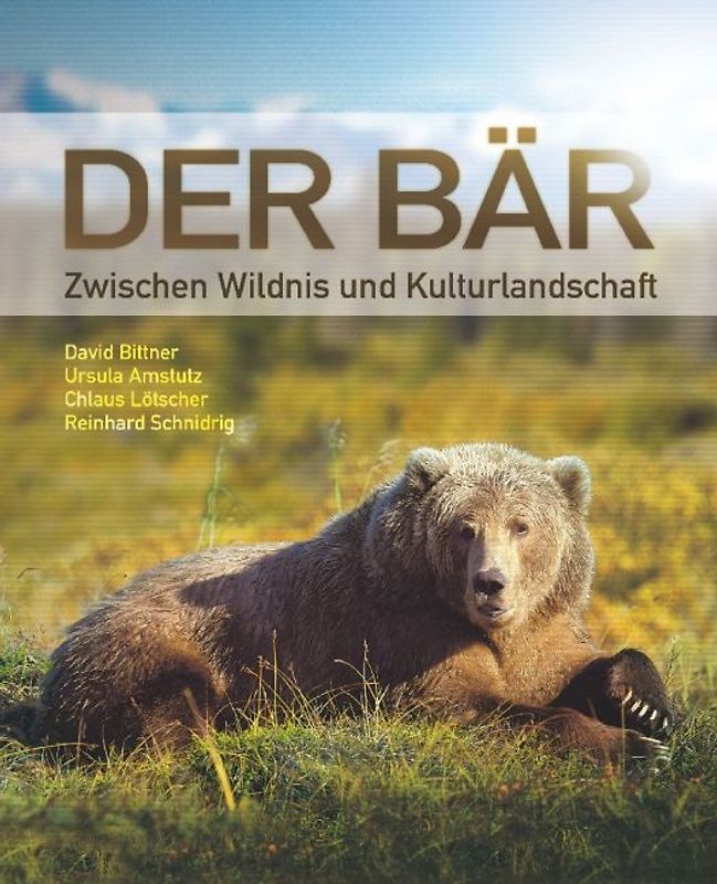 Der Bär