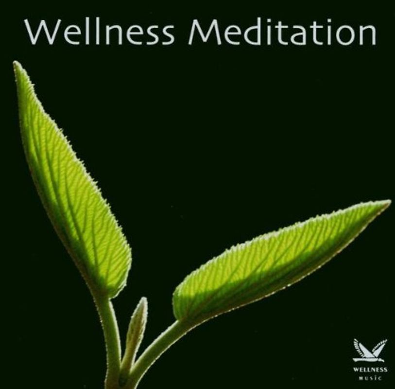 Various - Wellness Meditation