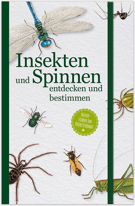 Insekten und Spinnen entdecken und bestimmen
