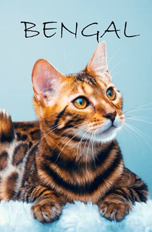 BENGAL: Cute Cat Diary Lined Blank Notebook (120 pages 5.25inch x 8inch)