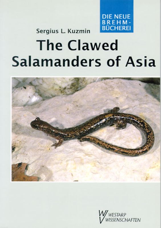 Clawed salamanders of Asia