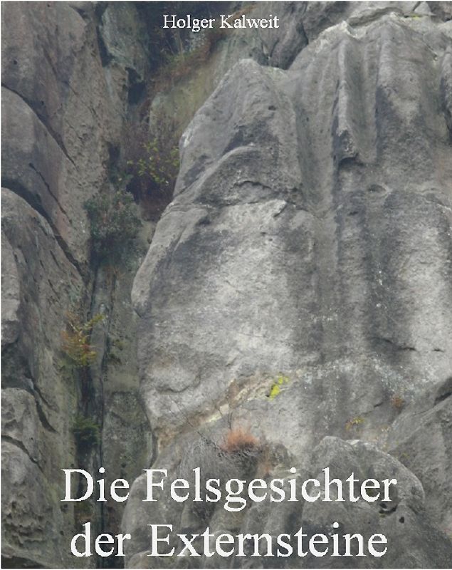 Die Felsgesichter der Externsteine