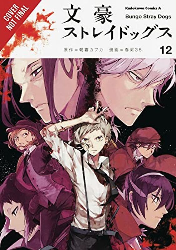 Bungo Stray Dogs, Vol. 12