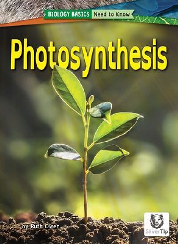 Photosynthesis
