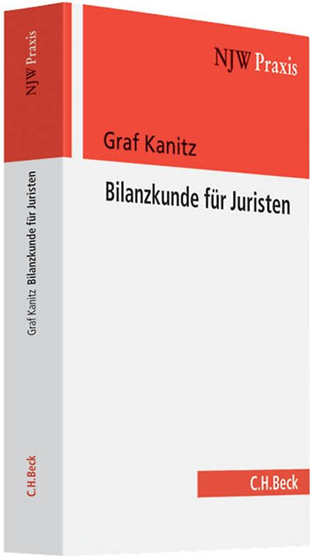 Bilanzkunde für Juristen