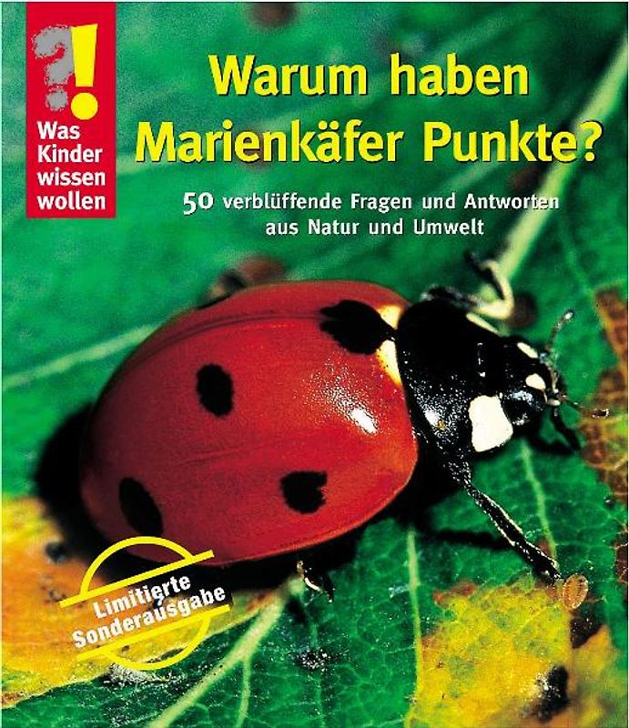 Warum haben Marienkäfer Punkte?