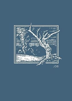 La NET Abide Bible Journal - Job, Paperback, Comfort Print Softcover