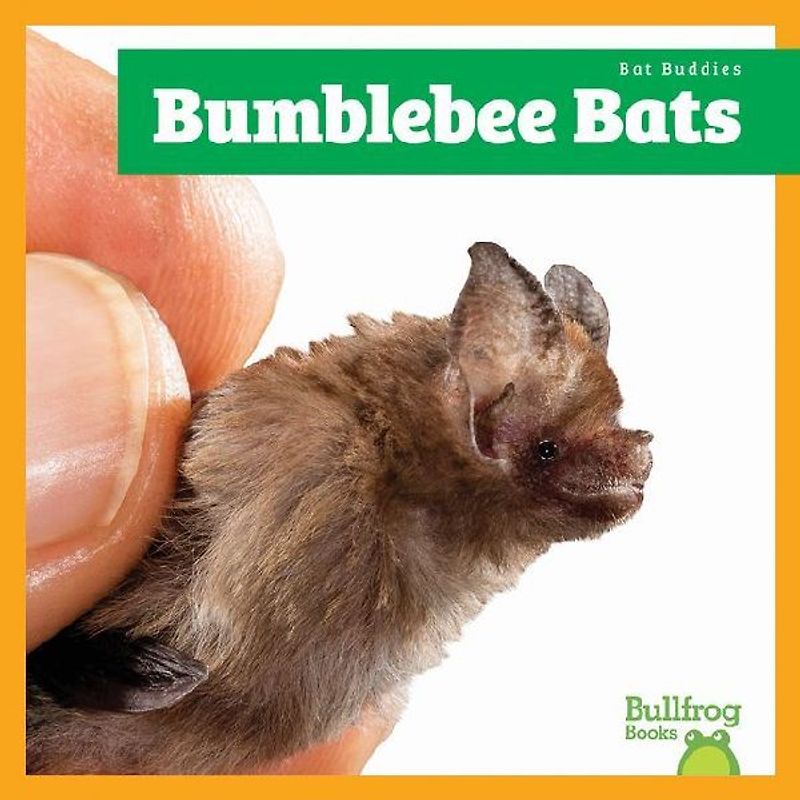 Bumblebee Bats