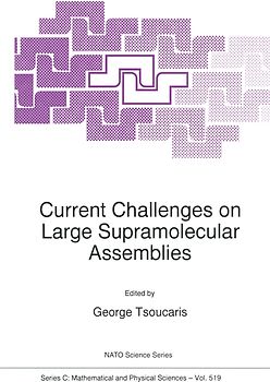 Current Challenges on Large Supramolecular Assemblies