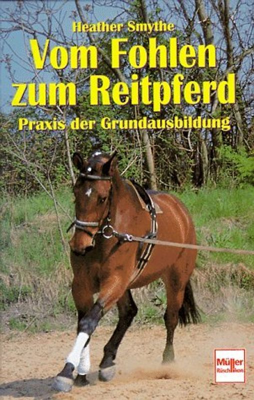 Vom Fohlen zum Reitpferd