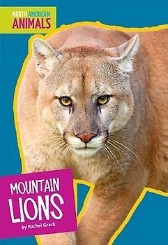 Mountain Lions