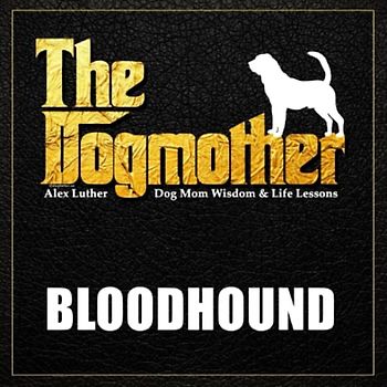 The Dogmother: Bloodhound: (Dog Mom Wisdom & Life Lessons)