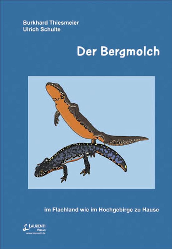 Der Bergmolch