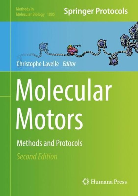 Molecular Motors