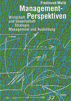 Management-Perspektiven