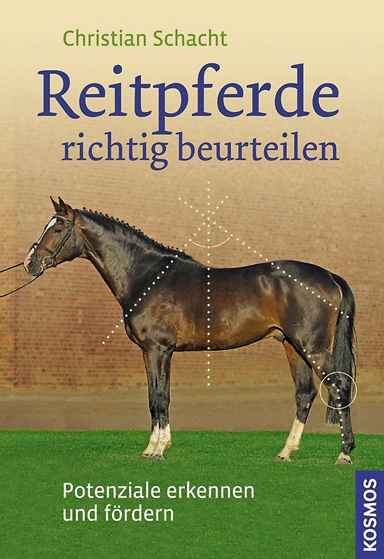 Reitpferde richtig beurteilen
