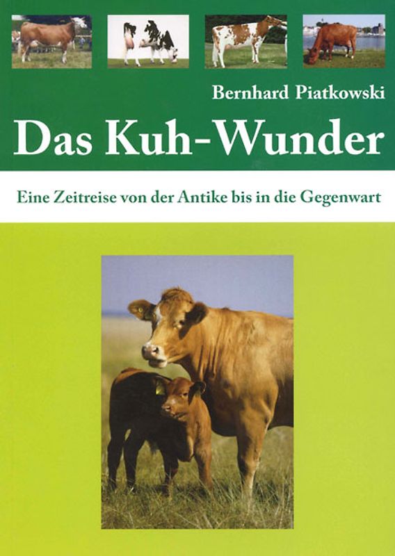 Das Kuh-Wunder