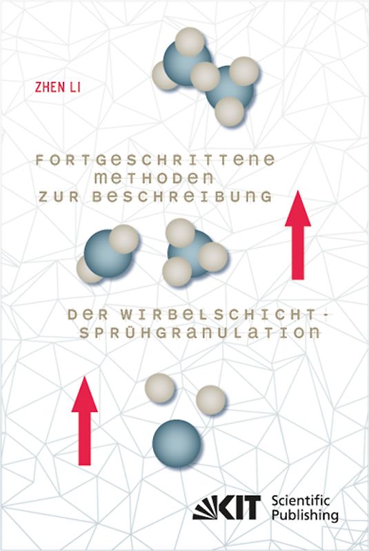 Fortgeschrittene Methoden zur Beschreibung der Wirbelschicht-Sprühgranulation