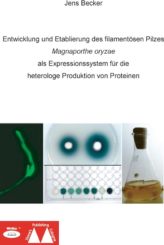 Entwicklung und Etablierung des filamentösen Pilzes Magnaporthe oryzae als Expressionssystem für die heterologe Produktion von Proteinen