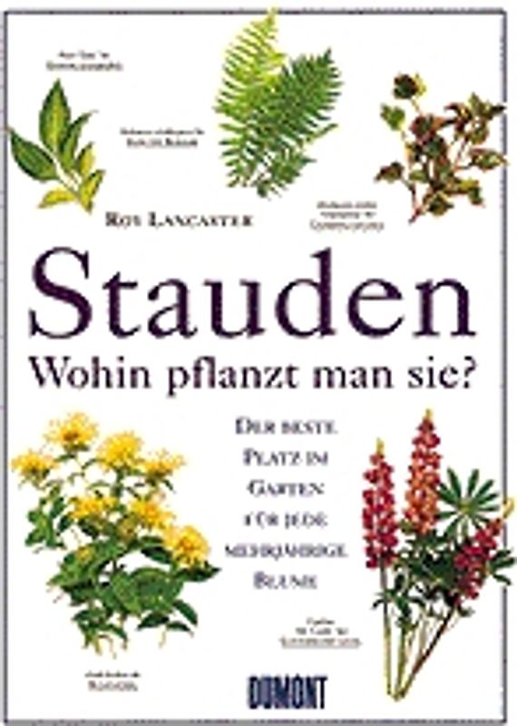 Stauden - Wohin pflanzt man sie?