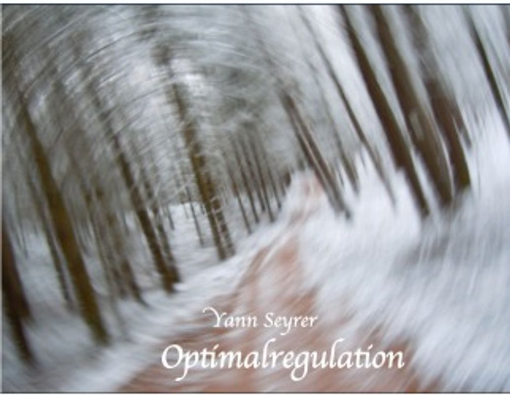 Optimalregulation