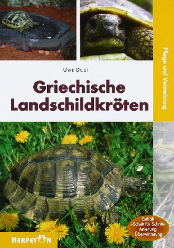 Griechische Landschildkröten