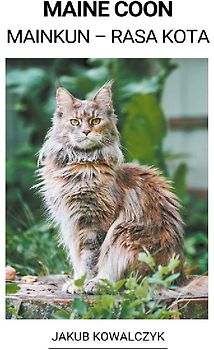 Maine Coon (Mainkun - Rasa Kota)