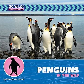 Penguins in the Wild
