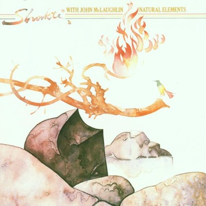 John Mclaughlin - Natural Elements
