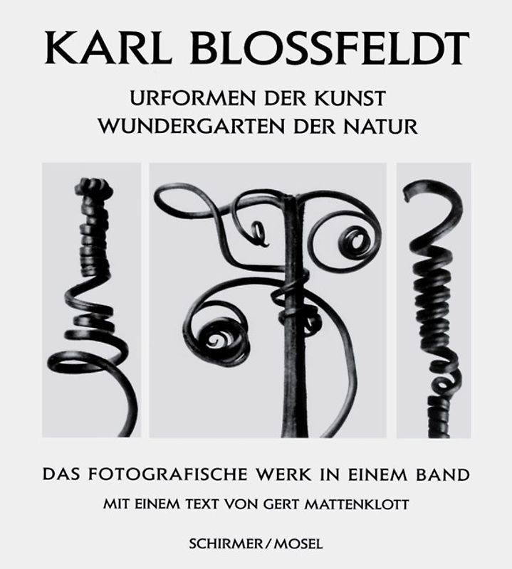 Karl Blossfeldt: Urformen der Kunst / Wundergarten der Natur