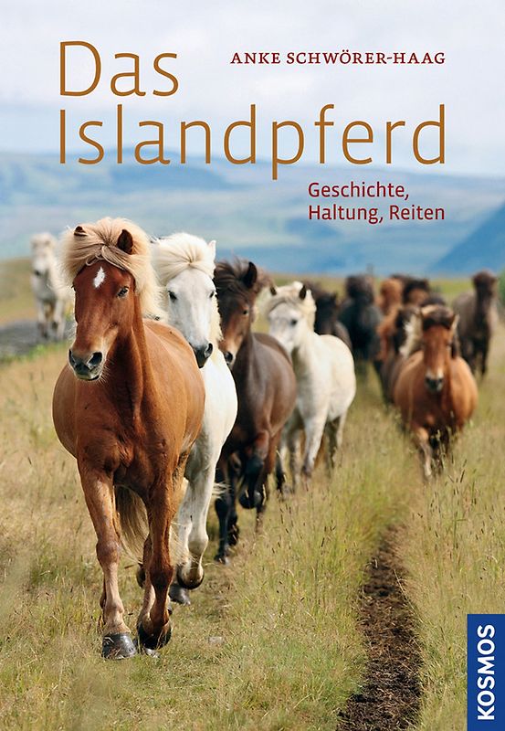 Das Islandpferd