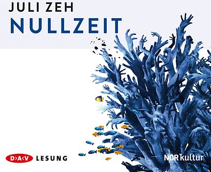 Nullzeit