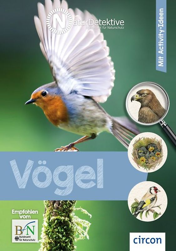 Vögel